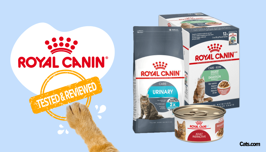 Unbiased Royal Canin Cat Food Review In