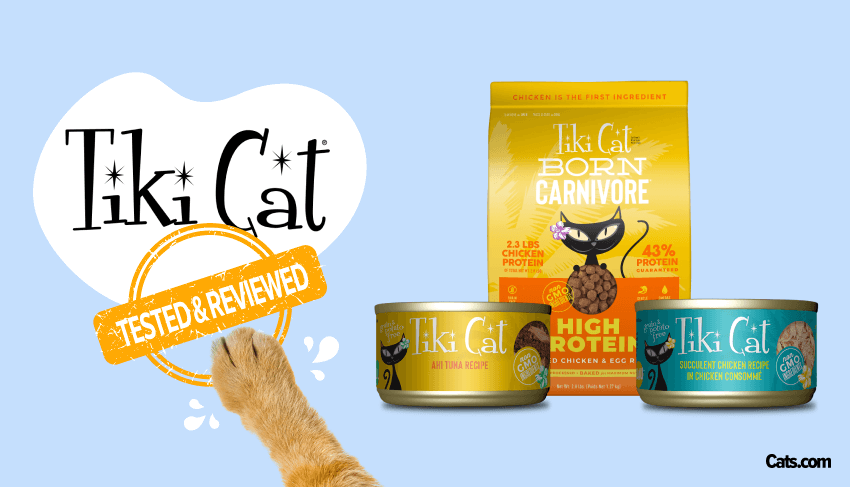 Unbiased Tiki Cat Cat Food Review Cats