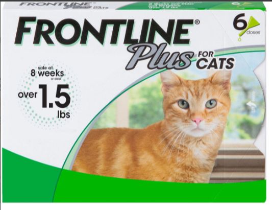 Best oral flea medication hotsell for cats