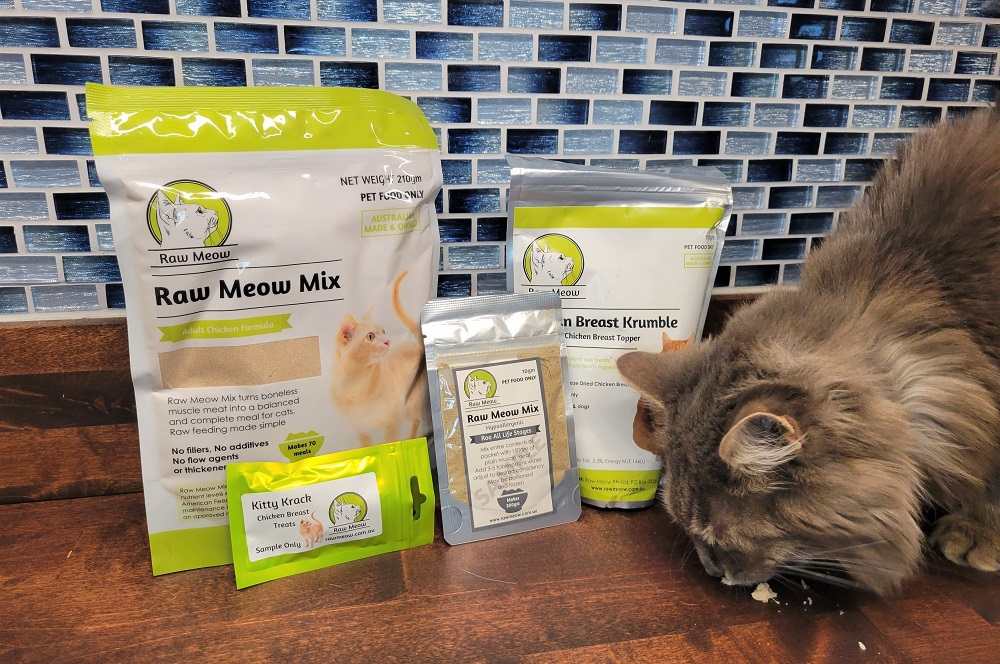 Raw Meow cat food review: fluffy cat tastes Raw Meow mix and krumble foods