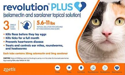 Revolution cat store flea treatment uk