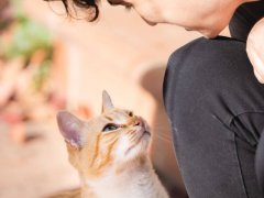 Young cat caregiver lovingly looking