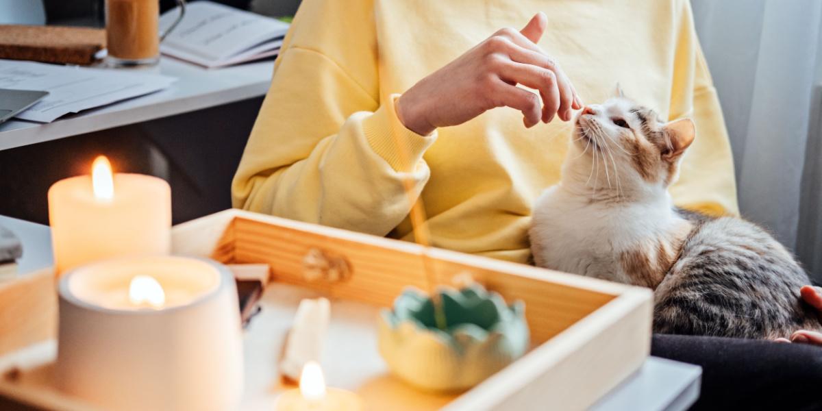 a cat sitting near a table with burning candles, emphasizing the potential fire hazard and the need for caution.