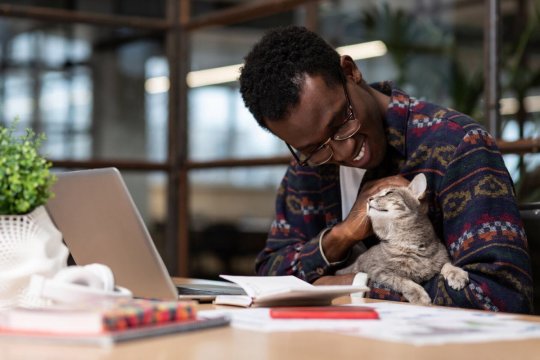 Research Suggests Cats Possess Healing Powers