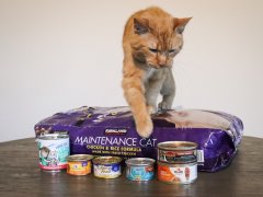 Cheapest Cat Foods 2025