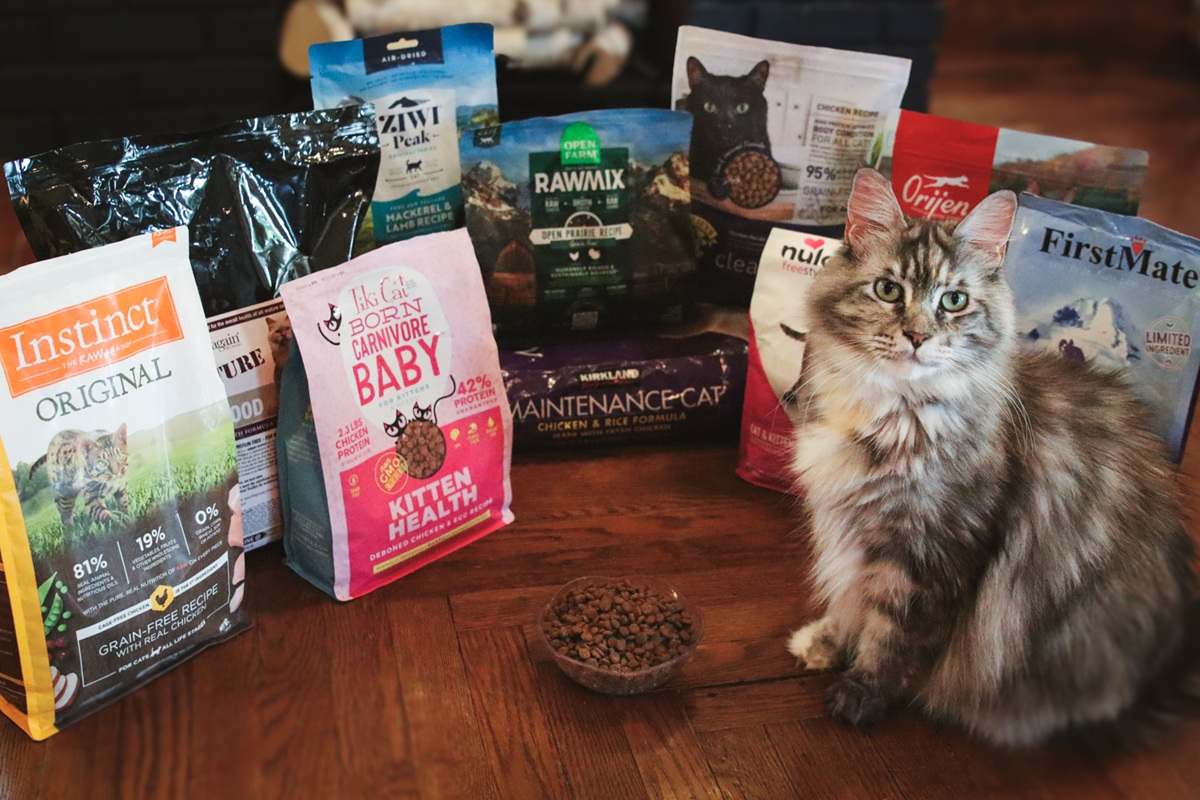 Grey White Maine Coon 10 Best Dry Cat Foods 2024