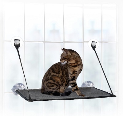  Cat Window Perches - Cat Window Perches / Cat Beds, Bedding &  Furniture: Pet Supplies