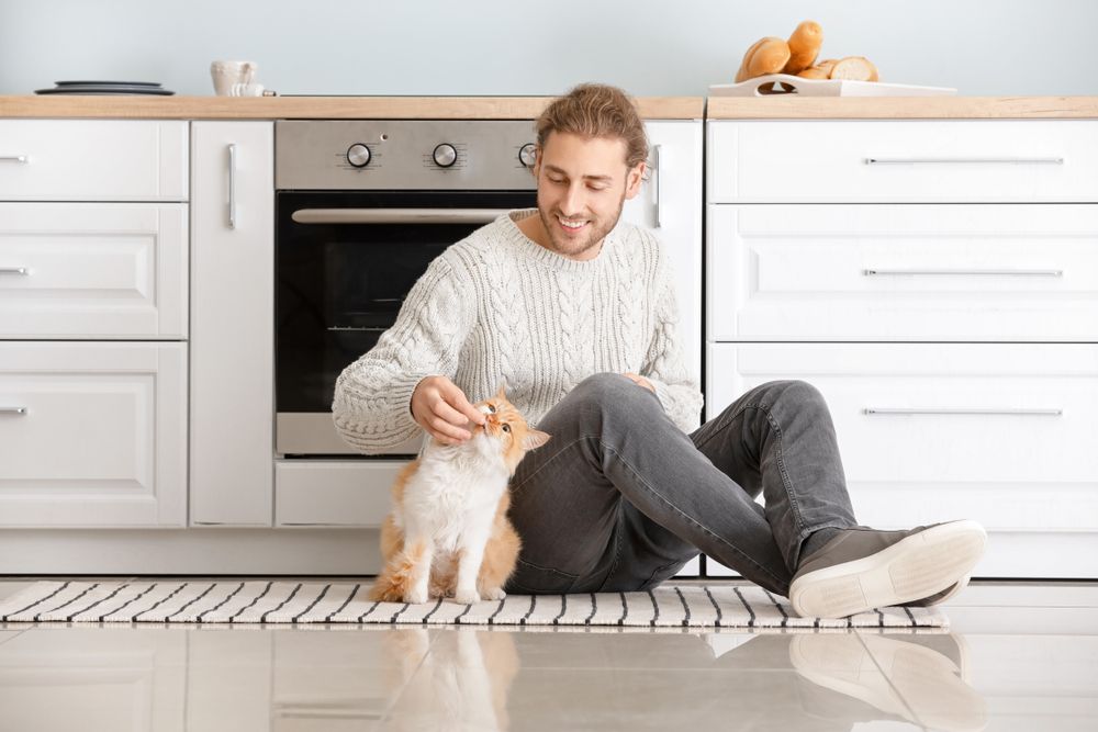 Hombre alimentando a un lindo gato en la cocina