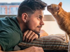 tabby cat sniffs the forehead of a young man in front of the window
