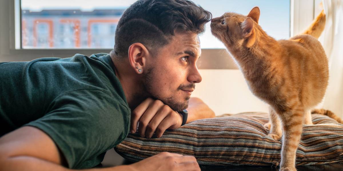 tabby cat sniffs the forehead of a young man in front of the window