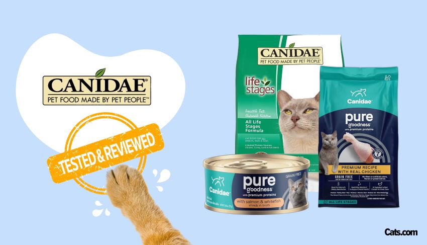 Canidae Cat Food Brand Review