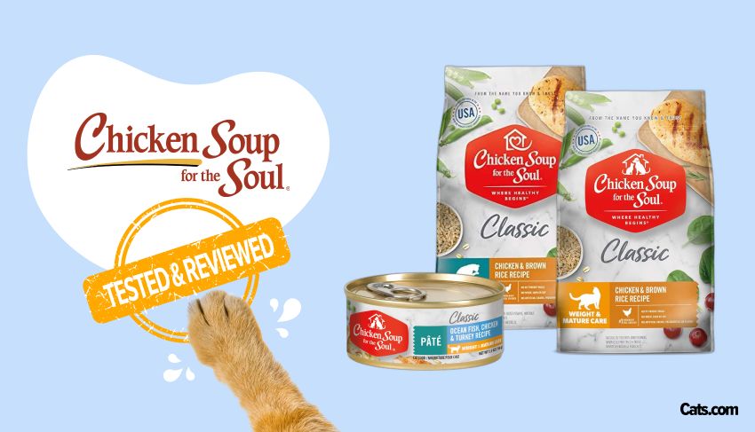 Chicken Soup for the Soul Cat Food Brand Review