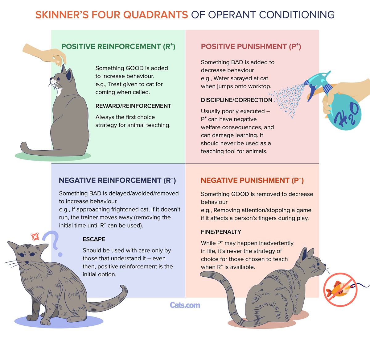 Skinner’s Four Quadrants of Operant Conditioning example