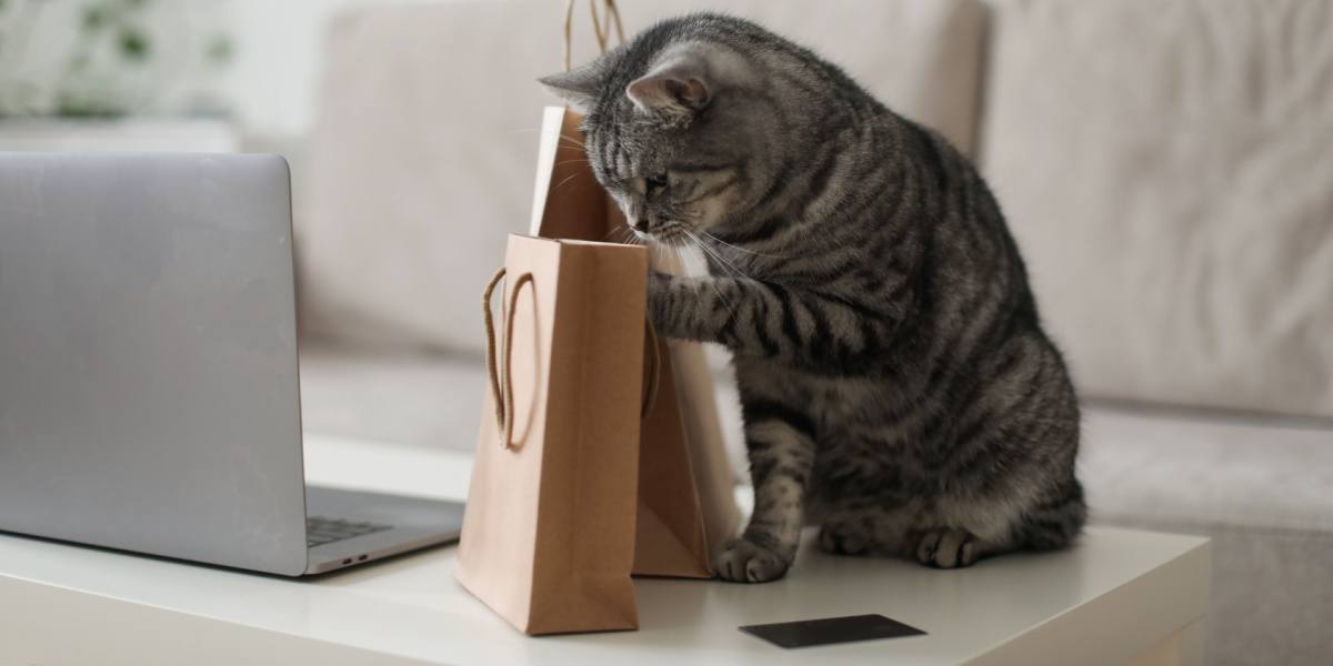 A gray tabby cat looking at craft paper bags
