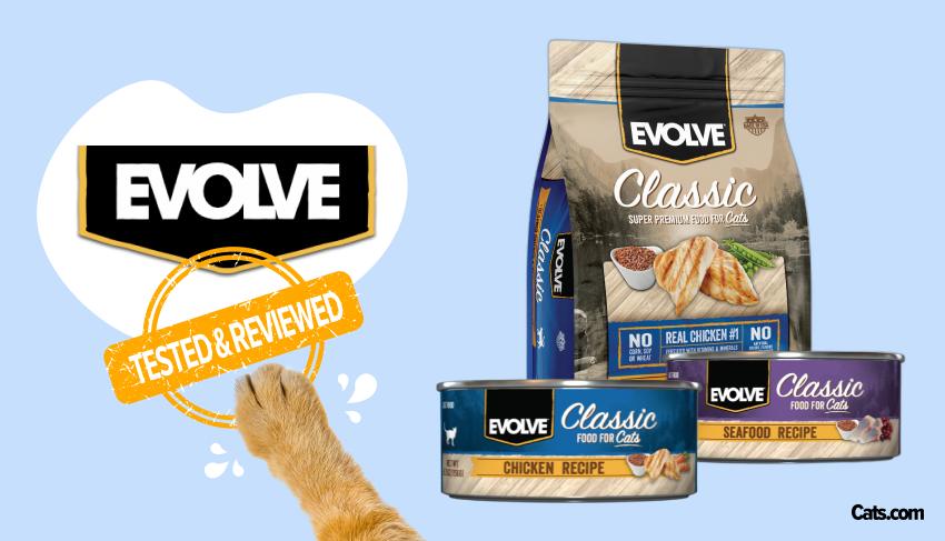 Evolve grain 2025 free cat food