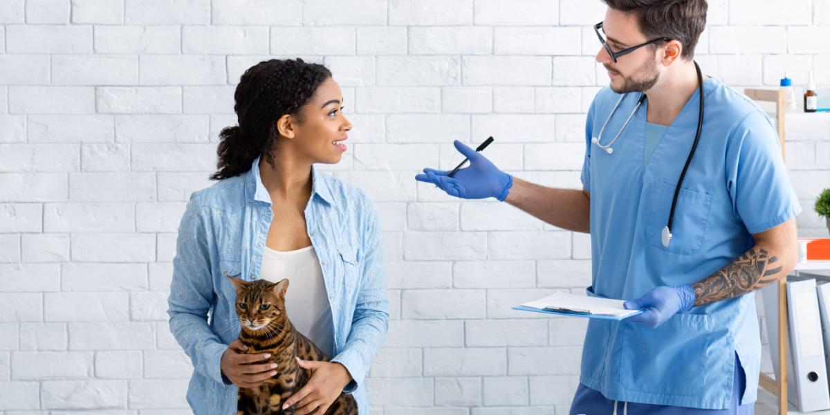 Cat owner with her pet communicating to vet