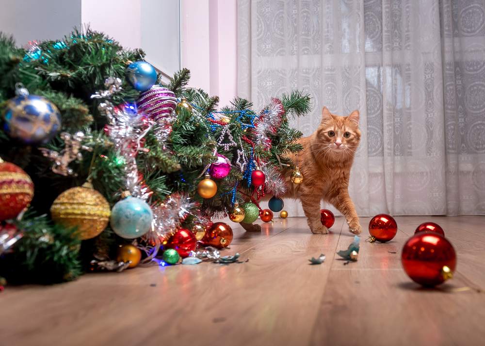 La culpa del gato es el árbol de Navidad caído