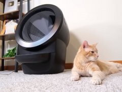 Litter Robot and orange cat