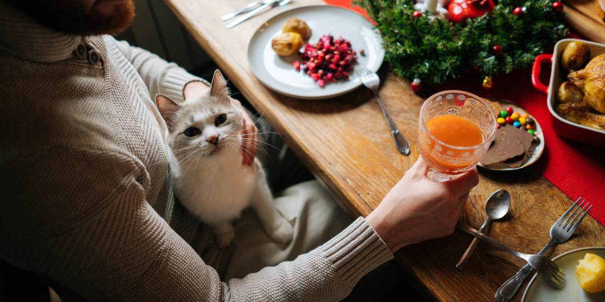 cat on man’s lap, at festive dinner table