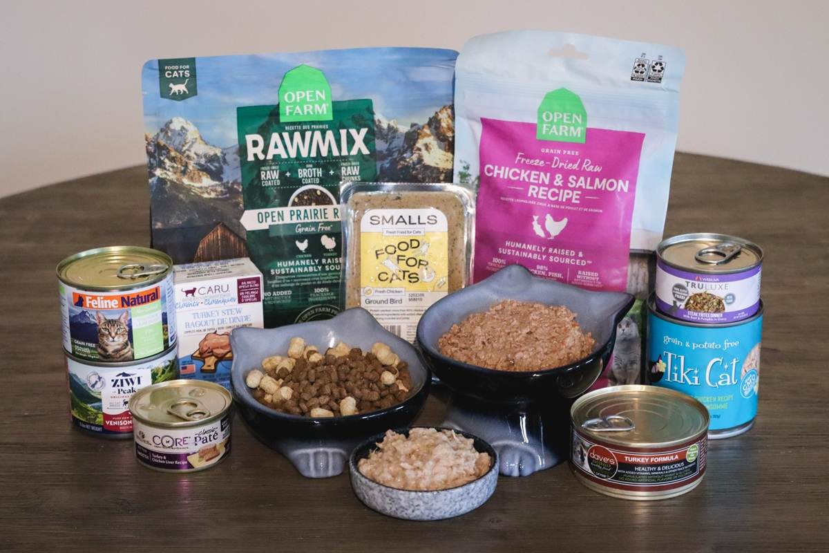 10 Best Cat Foods 2024