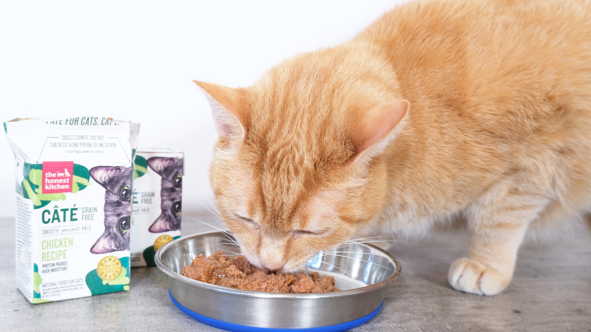 Honest Kitchen Cat Food Reviews: Unbiased Guide
