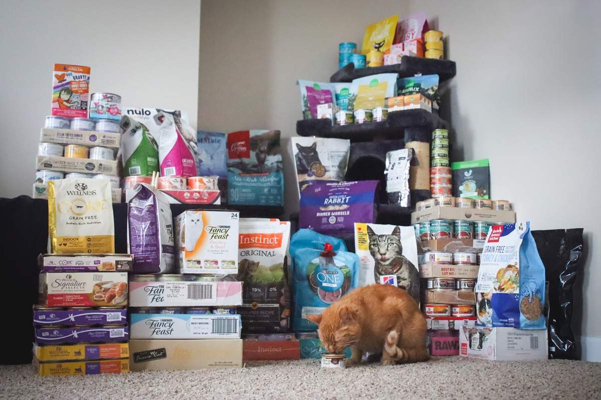 Cat Food Product Review