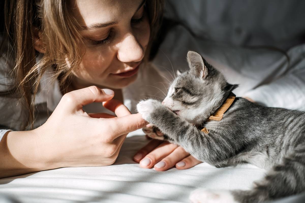 Young woman playing with a gray tabby kitten
