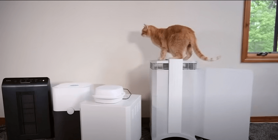 Air-Purifier-for-Cat-Litter