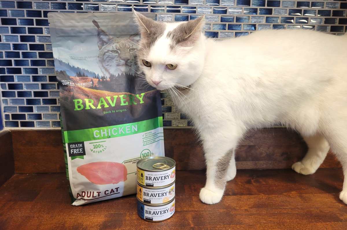 Bravery Cat Food with cat