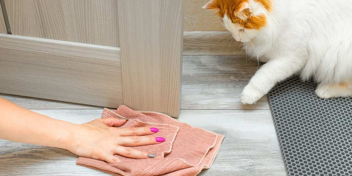 Fluffy cat watches their owner wipe up a urine puddle with a cloth.