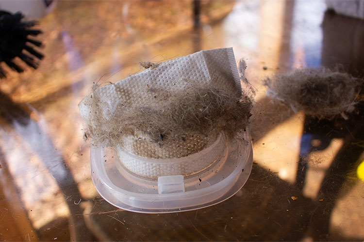 A small paper vacuum filter with cat hair and debris from cleaning a cat tree.