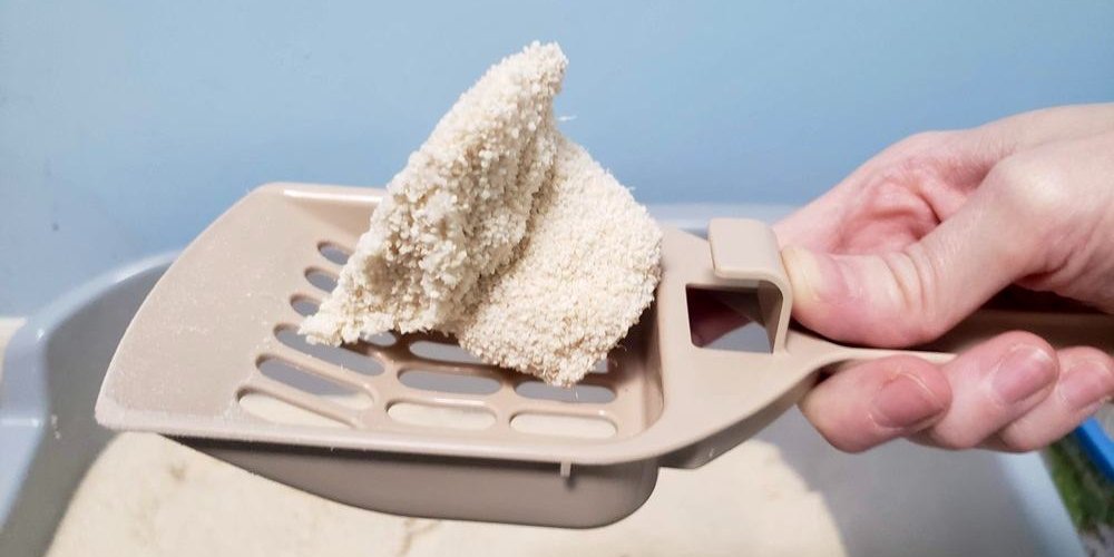 Cat litter scoop with a clump of Almo Nature Natural Cat Litter