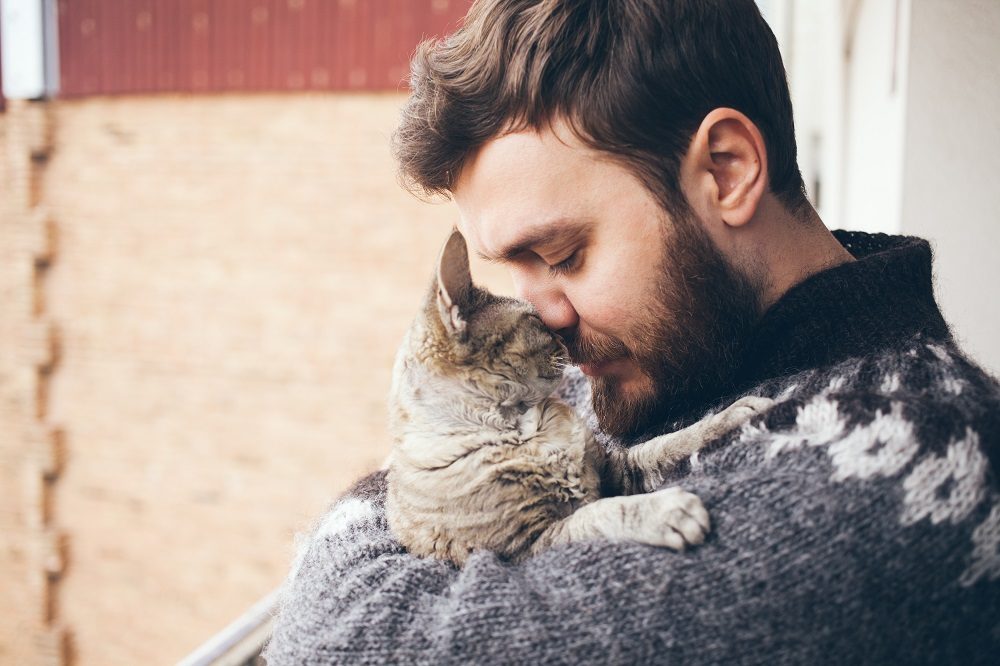 portrait of happy cat with closed eyes and young man