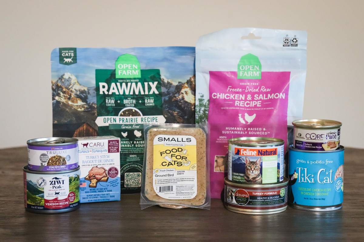 10 Best Cat Foods 