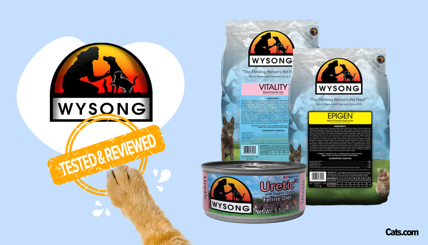 Wysong cat food review