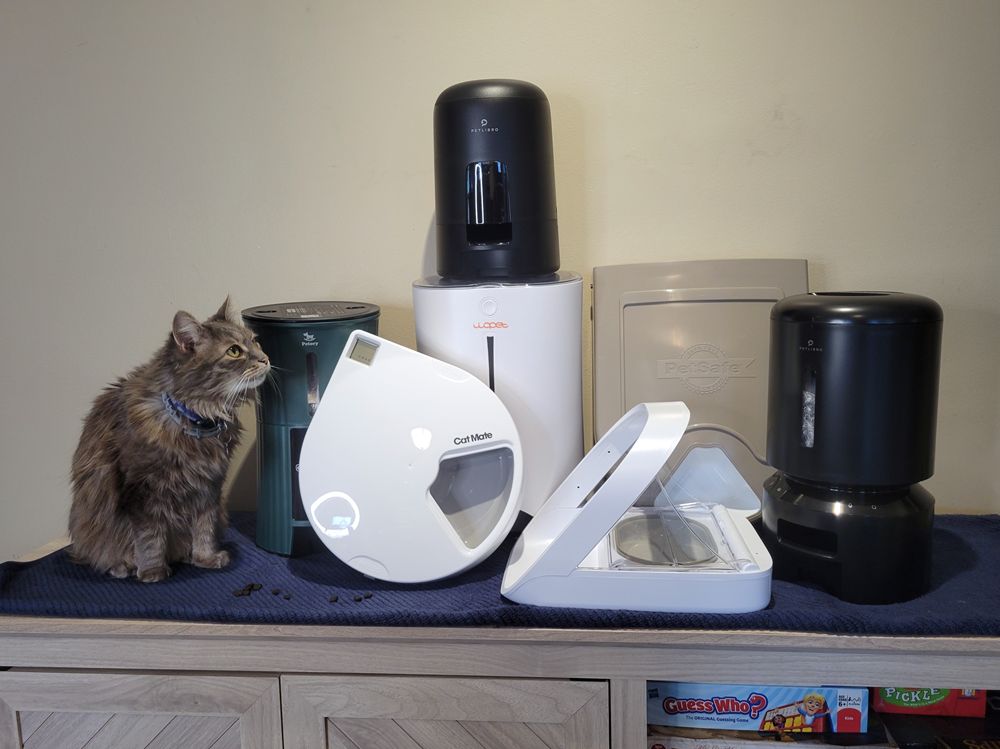 Best Automatic Cat Feeders featured image