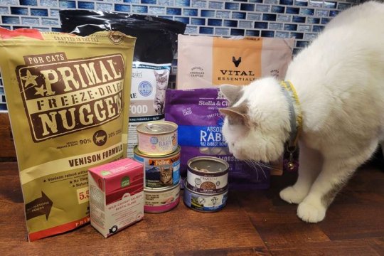 What's Best Limited Ingredient Cat Food? We Tested 10 Recipes