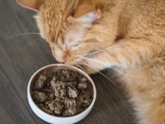 Open Farm Freeze Dried Raw Harvest Chicken Cat Food
