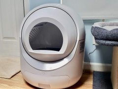 cleanpethome automatic litter box