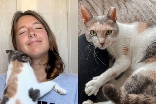 She Adopted a Paralyzed Kitty, Here's What Happened