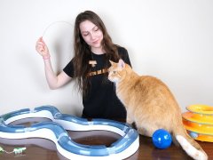 best cat toys