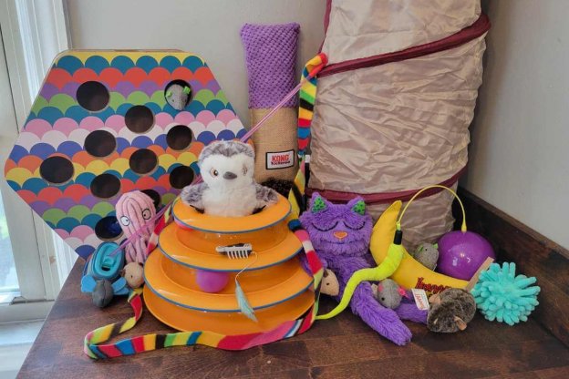 The 16 Best Kitten Toys for a Fun, Safe Playtime - Cats.com The 16 Best Kitten Toys for a Fun, Safe Playtime - Cats.com