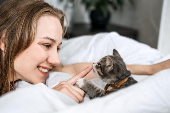 The Difference between Fostering and Adopting a Cat