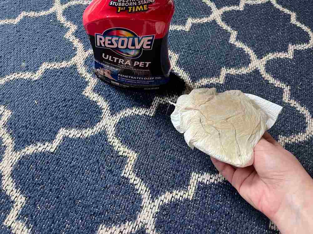 Resolve Ultra Pet Odor and Stain Remover