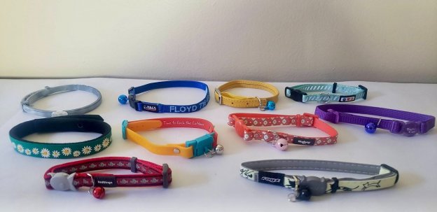 The 12 Best Cat Collars: We Tested Them All - Cats.com - Best Cat Collars For Socialization