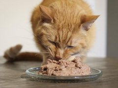 Nulo Freestyle Grain Free Turkey & Chicken Recipe