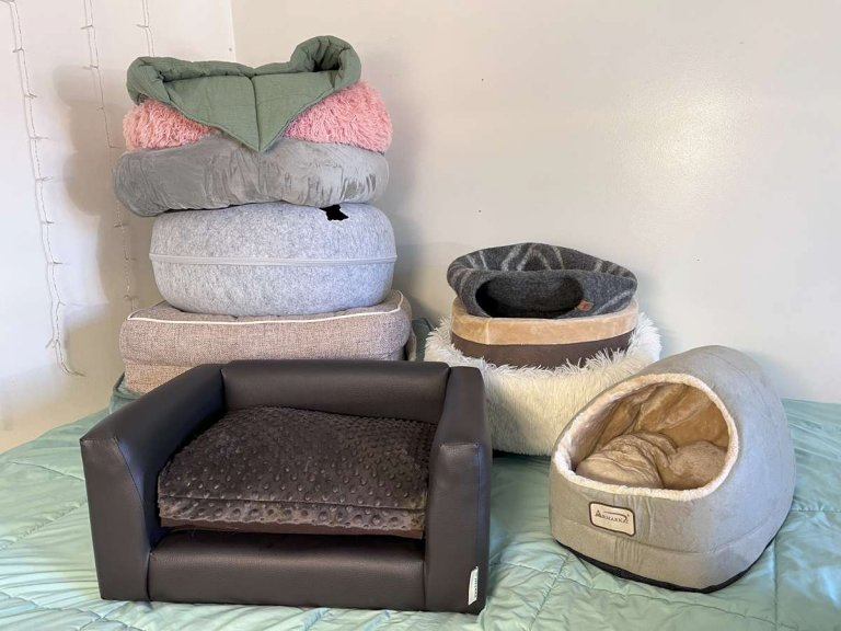 13 cat beds