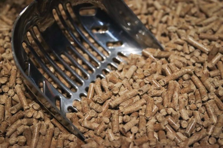 View of 11 Affordable & Eco-Friendly Cat Litter Alternatives - Cats.com