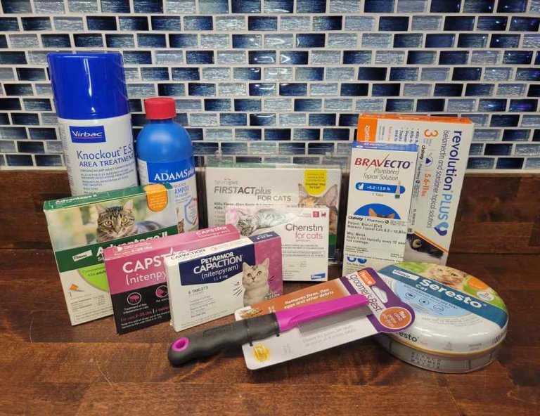 The 11 Best Flea Treatments for Cats