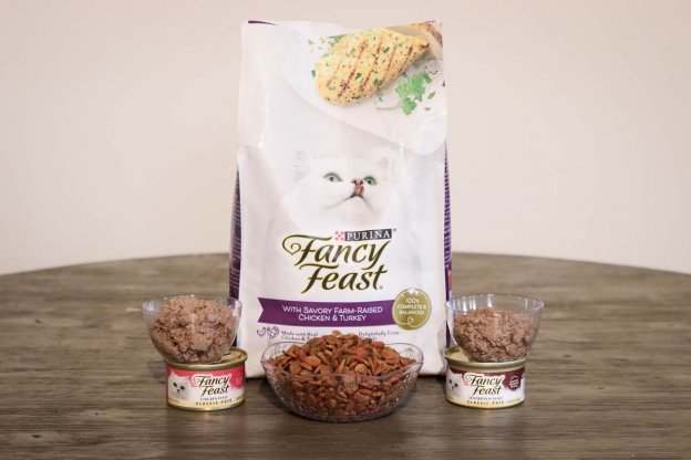 Unbiased Fancy Feast Cat Food Review - Cats.com